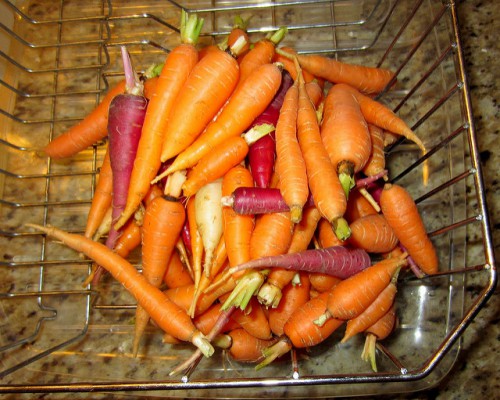 Морковь в корзине