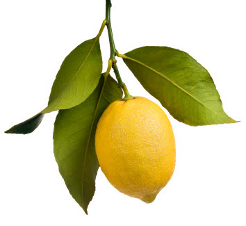 опадают листья лимона