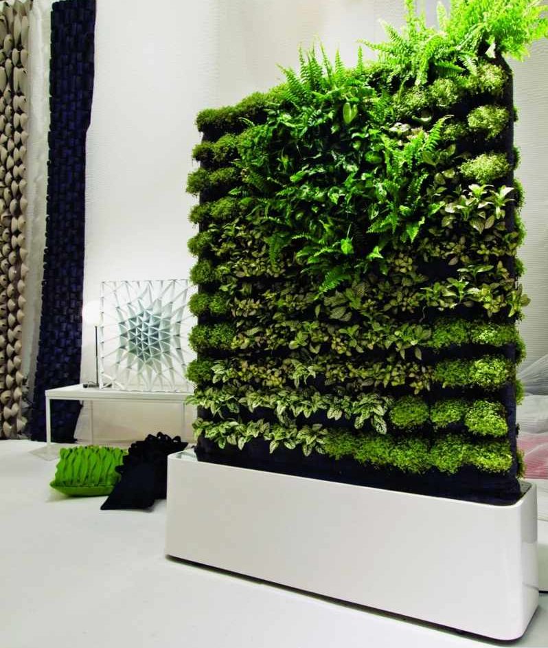 Вертикальное озеленение в квартире