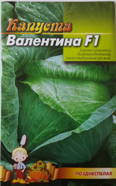 Семена капусты Валентина